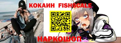 бошки Кингисепп