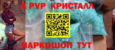 бошки Кингисепп