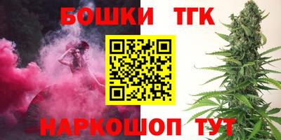 бошки Кингисепп