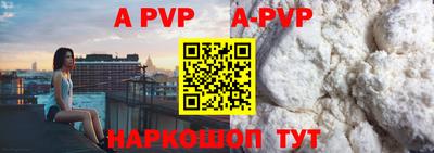 бошки Кингисепп