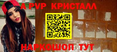 бошки Кингисепп